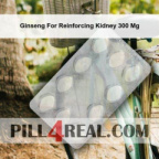 Ginseng For Reinforcing Kidney 300 Mg 121