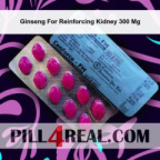Ginseng For Reinforcing Kidney 300 Mg 259