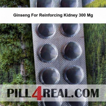 Ginseng For Reinforcing Kidney 300 Mg 692