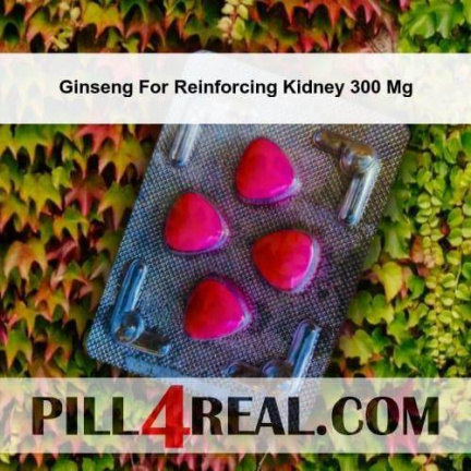 Ginseng For Reinforcing Kidney 300 Mg 969