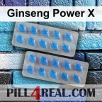 Ginseng Power X 043