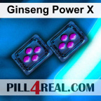 Ginseng Power X 201