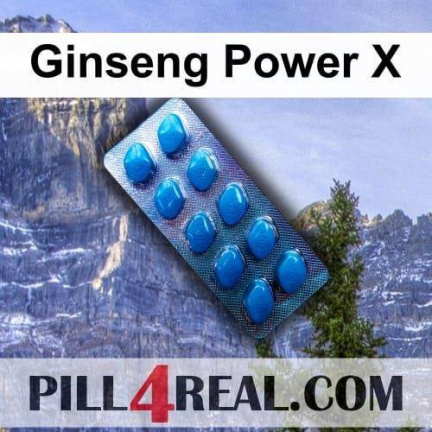 Ginseng Power X 237