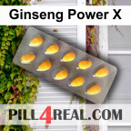 Ginseng Power X 238