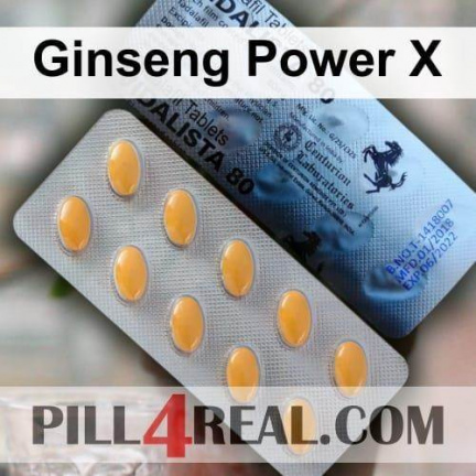 Ginseng Power X 340