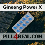 Ginseng Power X 412