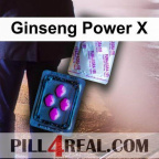 Ginseng Power X 577