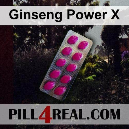 Ginseng Power X 702