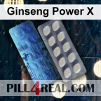 Ginseng Power X 751