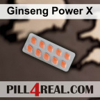 Ginseng Power X 779