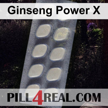 Ginseng Power X 810