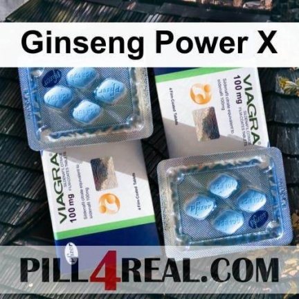Ginseng Power X 926