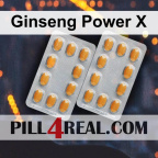 Ginseng Power X 945