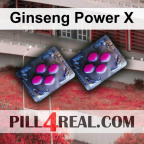 Ginseng Power X 988