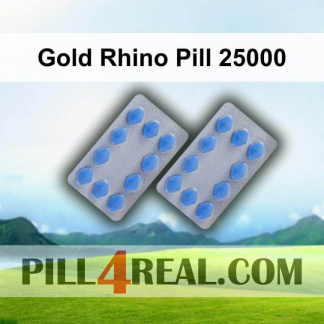 Gold Rhino Pill 25000 303
