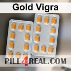 Gold Vigra 070