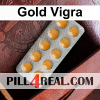 Gold Vigra 443
