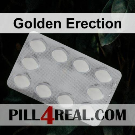 Golden Erection 034