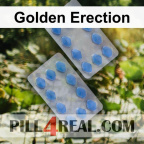 Golden Erection 049