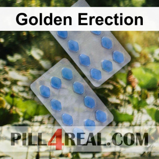 Golden Erection 049