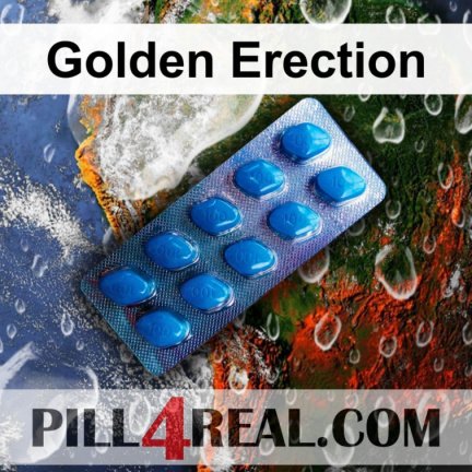 Golden Erection 068