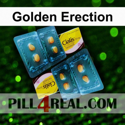 Golden Erection 133
