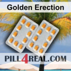 Golden Erection 500