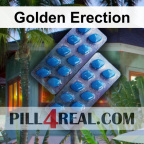 Golden Erection 565