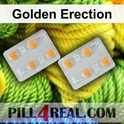 Golden Erection 864