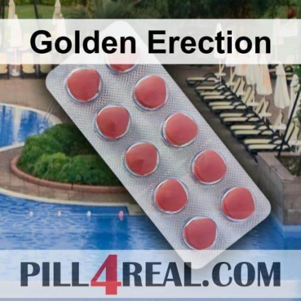 Golden Erection 981