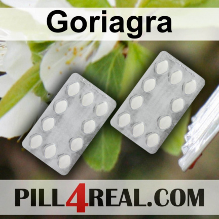 Goriagra 038