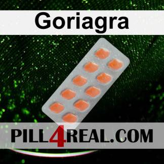 Goriagra 053