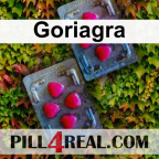 Goriagra 269