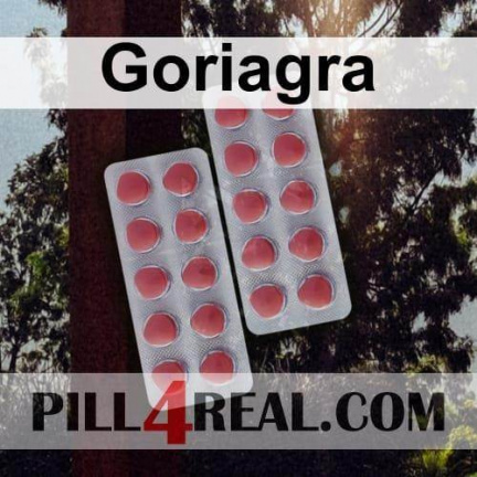 Goriagra 742