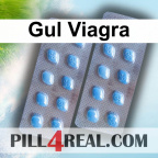 Gul Viagra 459
