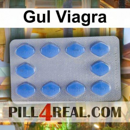Gul Viagra 499