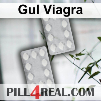 Gul Viagra 689
