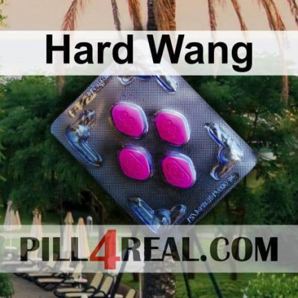Hard Wang 015