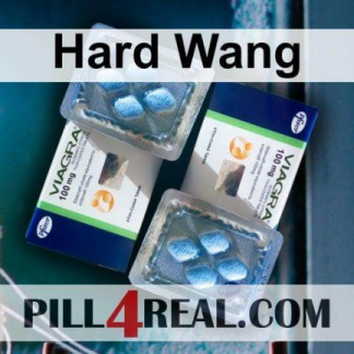 Hard Wang 022