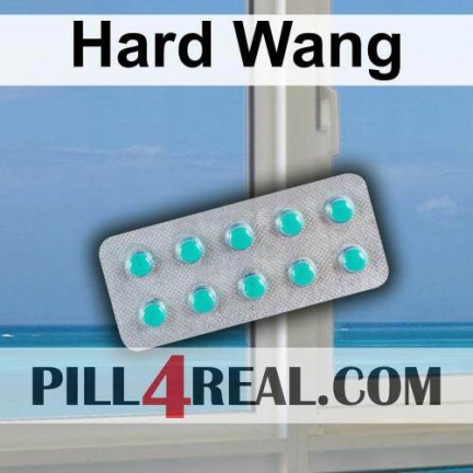 Hard Wang 147