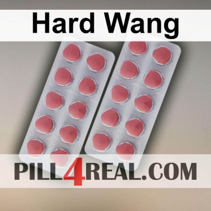 Hard Wang 242