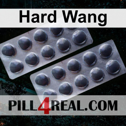 Hard Wang 303