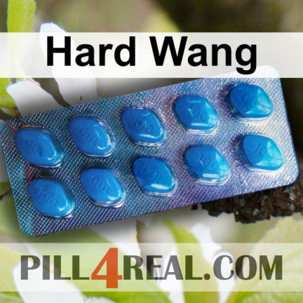 Hard Wang 429