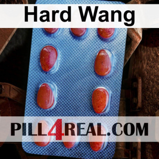 Hard Wang 512