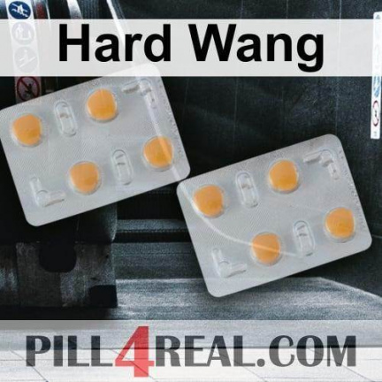 Hard Wang 562