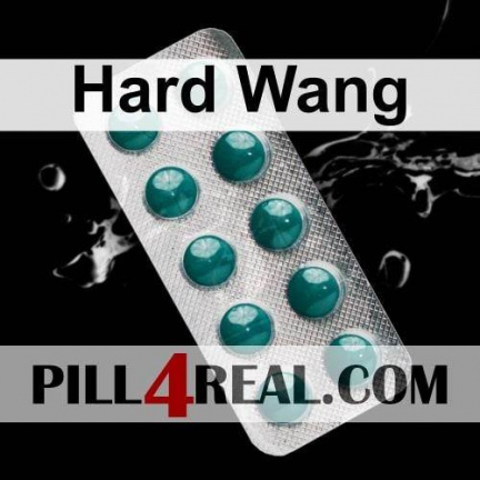 Hard Wang 637