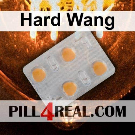Hard Wang 679