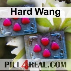 Hard Wang 710