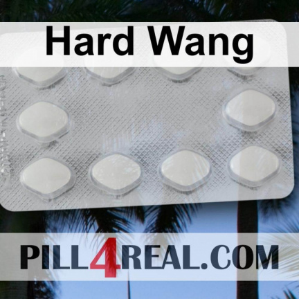 Hard Wang 771