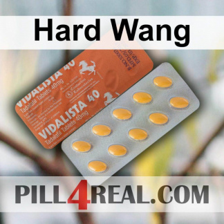 Hard Wang 863